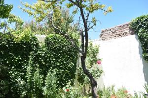 Del Alto-Viviendas turisticas