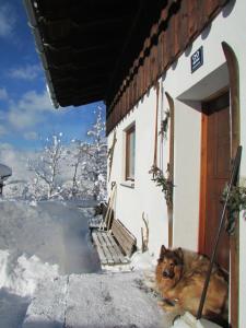 Art Chalet Vorderschuhzach