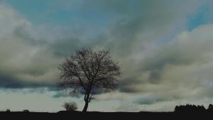 LAncienne Forge - Gîte à la ferme