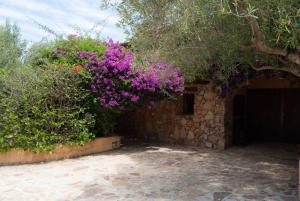 Villa Alberto - Klodge img16