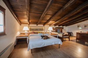 Villa Alberto - Klodge img12