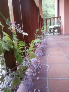 Apartamentos Rurales Buenamadre