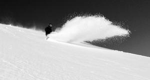 Guest House Privat Pod Lesom