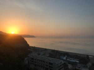 El Capistrano Playa 301