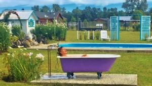 Arriendo de Cabañas con Piscina y Entorno Natural, Villarrica