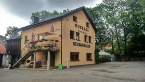 Srebrny Świerk - 瓦姆比耶尔兹采