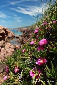 Appartamenti Ideal img46