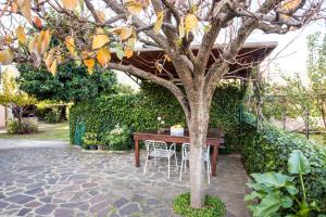 Appartamenti Marciana Marina - Goelba