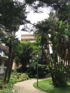 Beach apartment with tropical garden and mountain view Best location