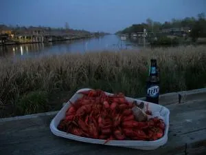 Cozy Cabin on the Bayou - Maurepas