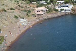 La Ginestra
