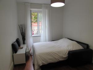 Beau T2 au centre de Strasbourg photo 24