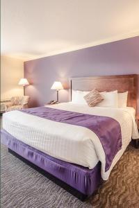 Comfort King Room room in University Place Hotel and Conference Center