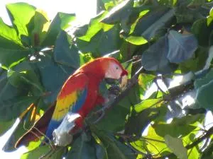 chez philippe - San Mateo