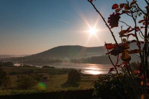 Villa Jelenic by Bertovic