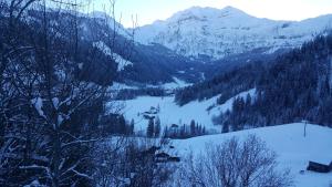 Pension Apartment Bergluft Lenk im Simmental Suisse