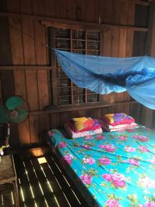 Dolphin School Homestay