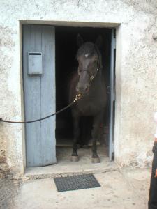 Sejours a la campagne Domaine de la Safraniere - Holiday Home : photos des chambres