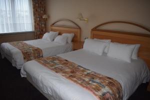 Family Room room in Metropol Hotel