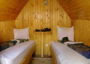 Bungalow with Shared Bathroom - Special Offer 1st May room in Dolphin Camping