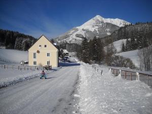 Talu Ferienwohnung Bluemelhube Wohnung Anja Vordernberg Austria