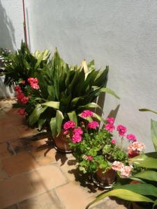 La Casita del Corralon