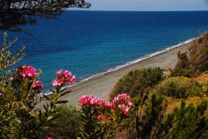 Samothraki Beach Apartments & Suites Hotel Nisos-Samothraki Greece