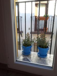 Mezquita Judería Córdoba