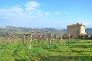 Agriturismo Il Casolare Di Bucciano