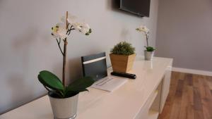 Apartament Lublin Centrum "Foxy Cat"