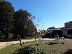 B&B / Chambres d'hotes le Logis du Plessis : photos des chambres