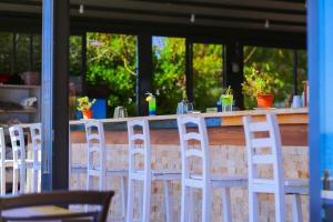 Palace Hotel Olive Odore