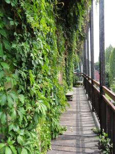 Apartments Wróblewskiego Street