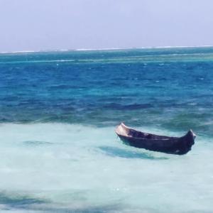 Play to Live San Blas