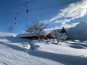 Pension Jagdhütte Abtenau Österreich