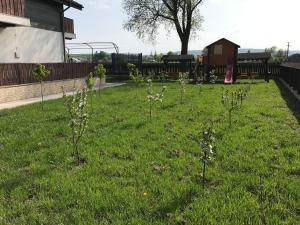 Pensiunea Dany - Crys