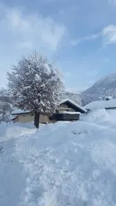 Appartement Müllner - Kirchdorf in Tirol