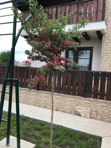 Pensiunea Dany - Crys