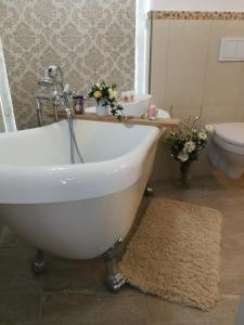 Apartaments Penthouse Luxury 115 mp Rešica Rumānija