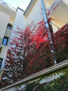 Giorgos Apartments Sea View Pieria Greece