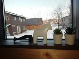 Hakuba Powder Cottage Crystal