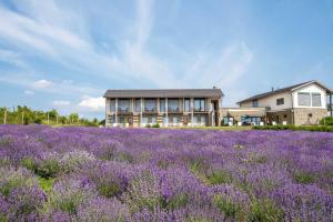 Pensionas Natura Hill Panzió & Slow Food Fine Bistro Zabegenis Vengrija