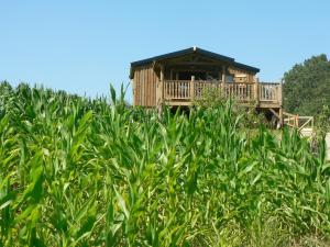 Campings Etangs du Moulin : photos des chambres