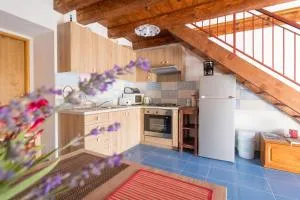 Apartment Janet - Luka