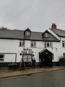 The royal Oak