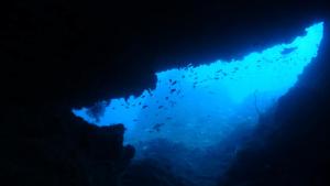 WonderOcean Dive Hostel