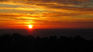 Villas Villa Olivea : photos des chambres