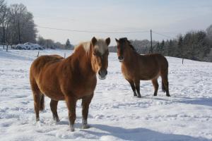 B&B / Chambres d'hotes Chambres d'Hotes 