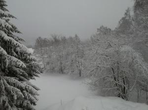 Nový Apartmán Říčky