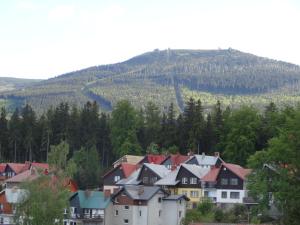 Pokoje Gościnne CYKADA